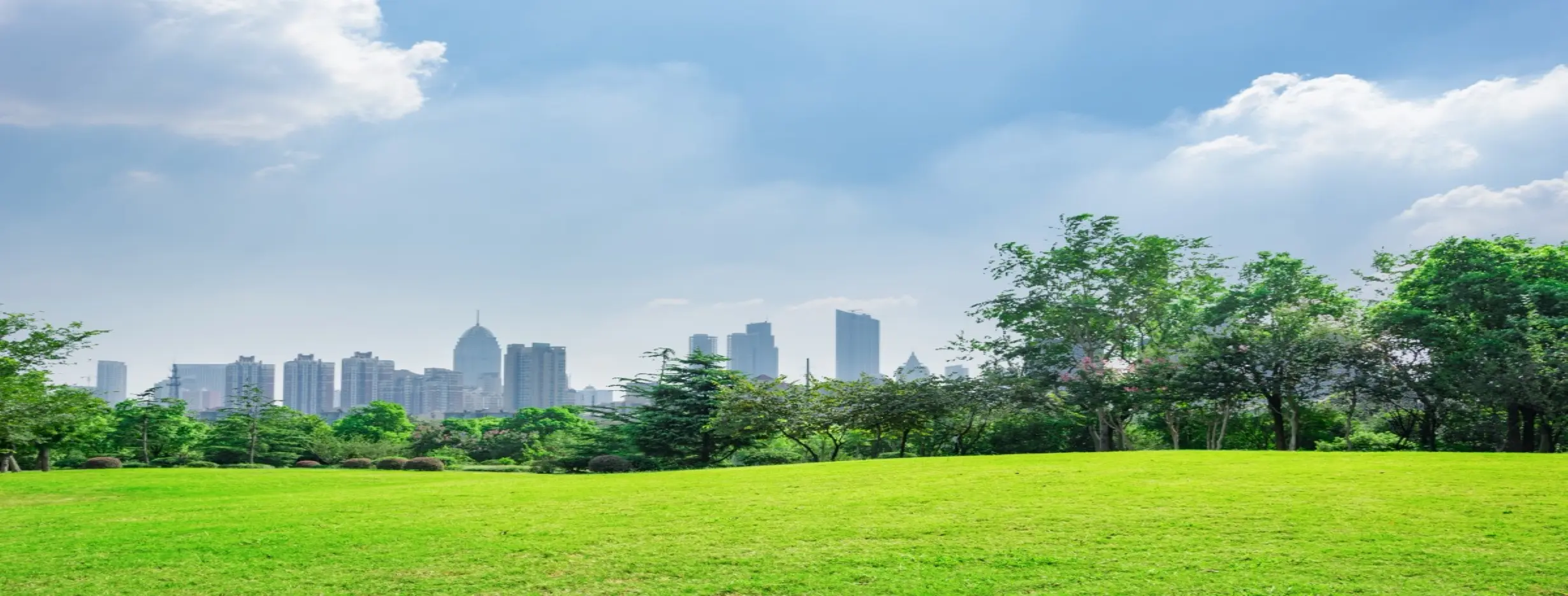Image for City Park
